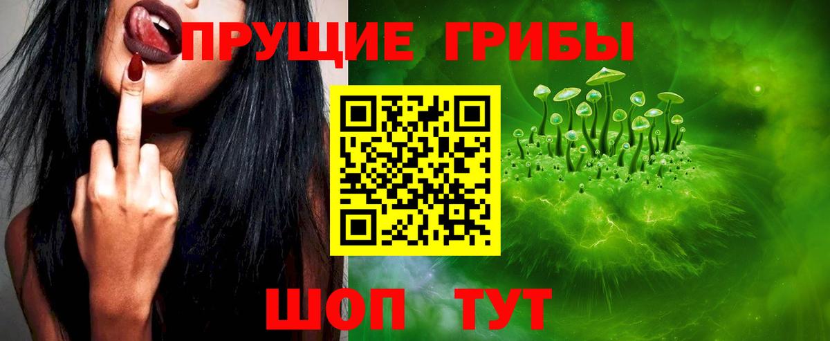 Родники  Галлюциногенные грибы Psilocybine cubensis  Вход с VPN 